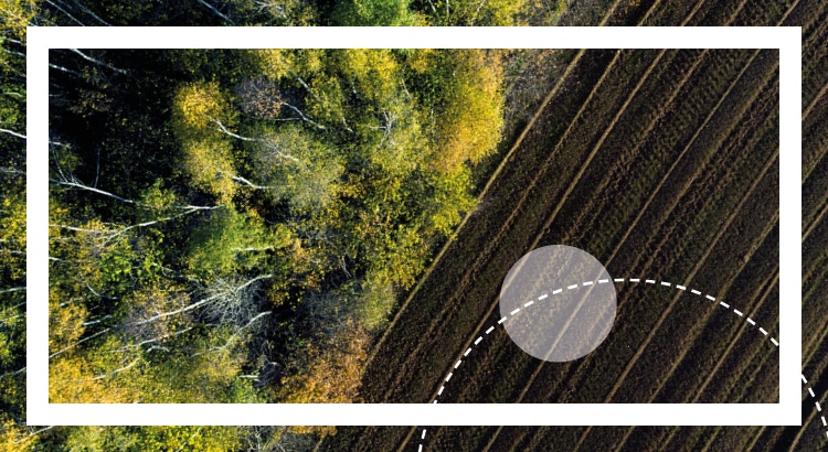 Train tracks with trees on the side