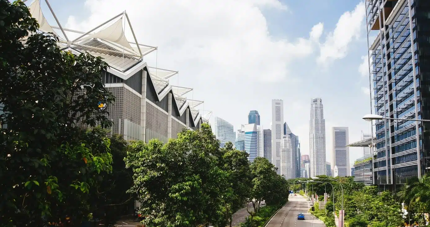 Sunny outdoor scene of roads lined with trees leading towards skyscraper skyline in sustainable city